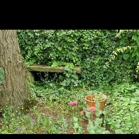 캠프장 Parkhouse Farm Caravan Easby