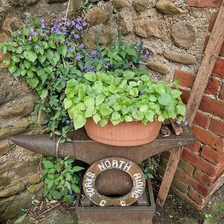 Parkhouse Farm Caravan * Easby