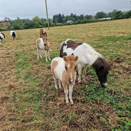 Parkhouse Farm Caravan 캠프장 *