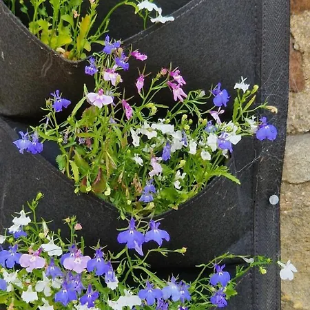 캠프장 Parkhouse Farm Caravan *