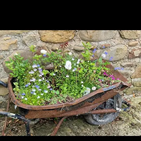 Parkhouse Farm Caravan 캠프장 *